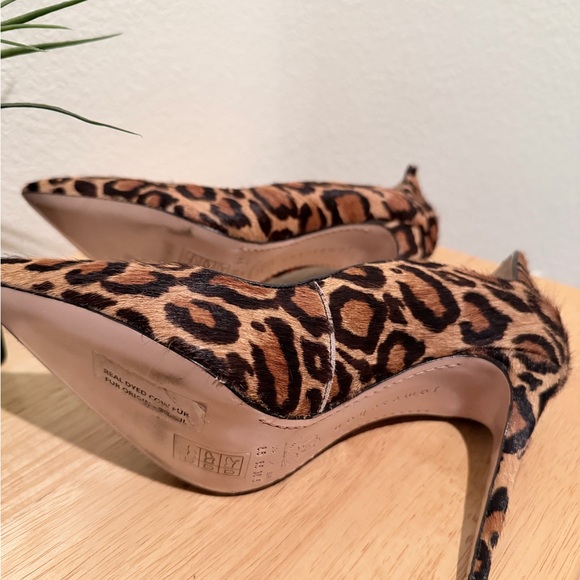 James Chan - Picture 6 of 7